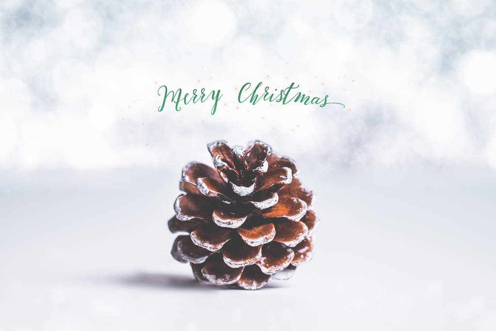 Green Merry Christmas and sparkling star with brown pine cone on - Photo, Image