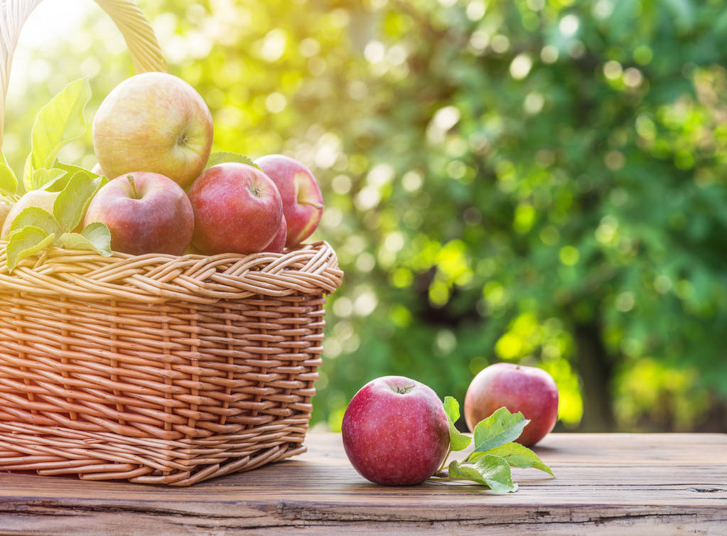 Elma hasat. Olgun Kırmızı elma sepeti masaya.  - Fotoğraf, Görsel