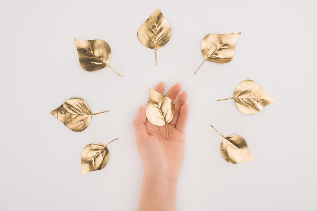 gedeeltelijke weergave van vrouwelijke hand en gearrangeerd gouden bladeren geïsoleerd op grijs - Foto, afbeelding