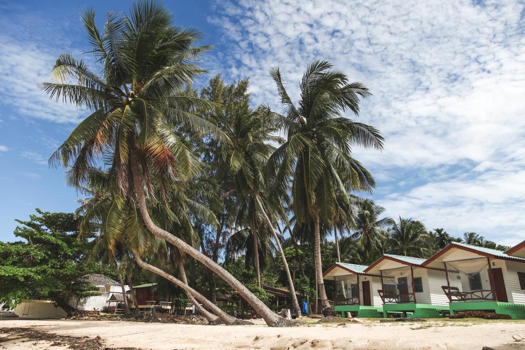 prachtige palmbomen met hutjes op tropisch strand - Foto, afbeelding