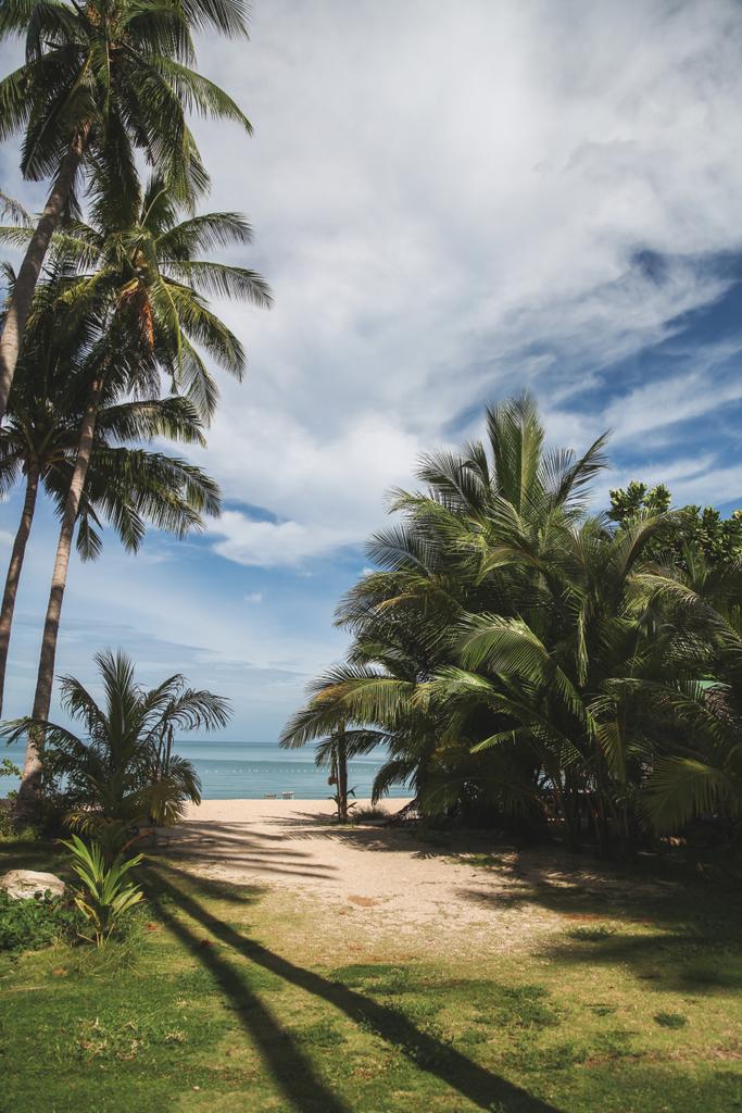 pálmafákkal, trópusi tengerparton kék óceán háttér - Fotó, kép