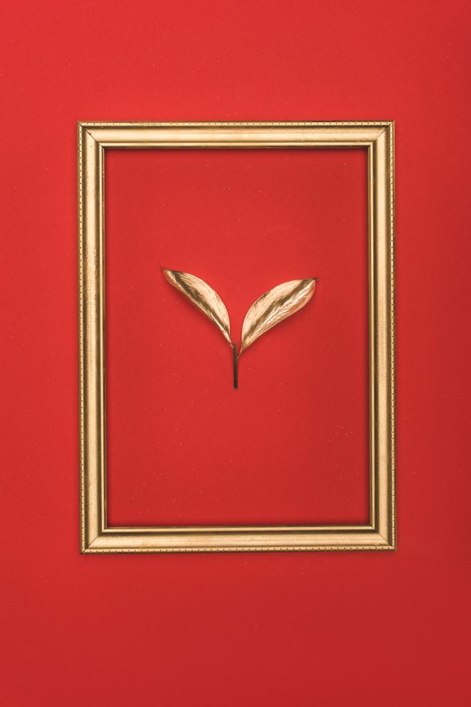 vista superior del marco de fotos de oro y la planta aislada en rojo
 - Foto, Imagen