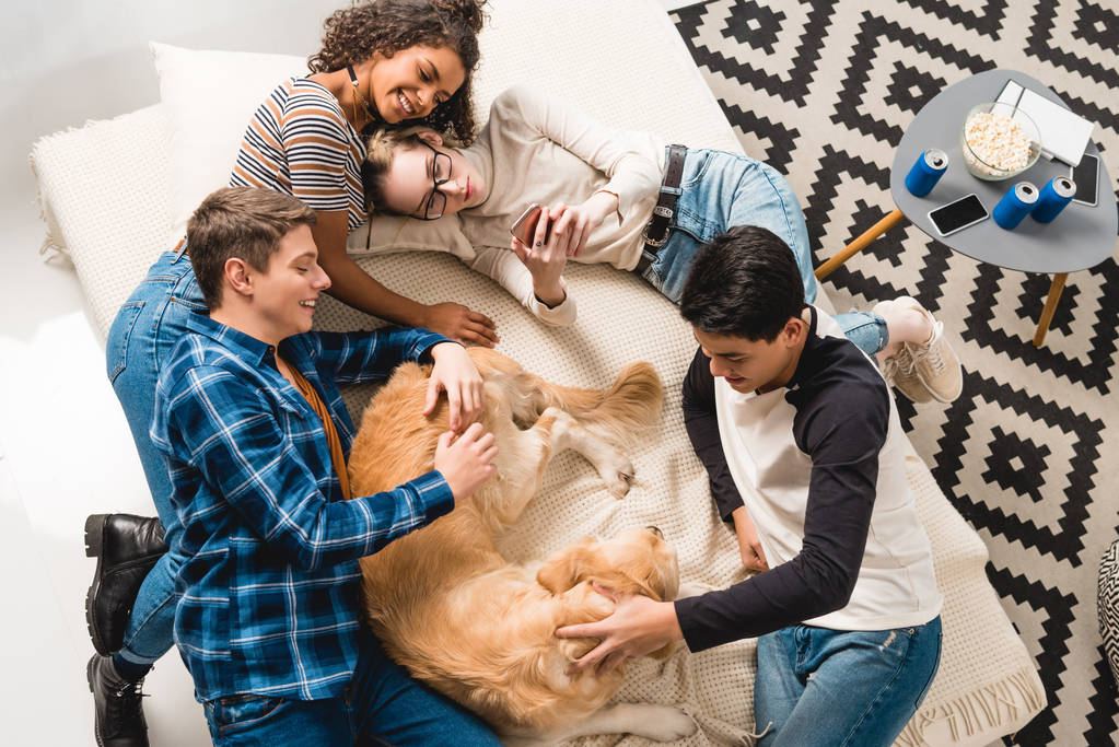 overhead view of multicultural teens lying on bed and palming dog - Photo, Image