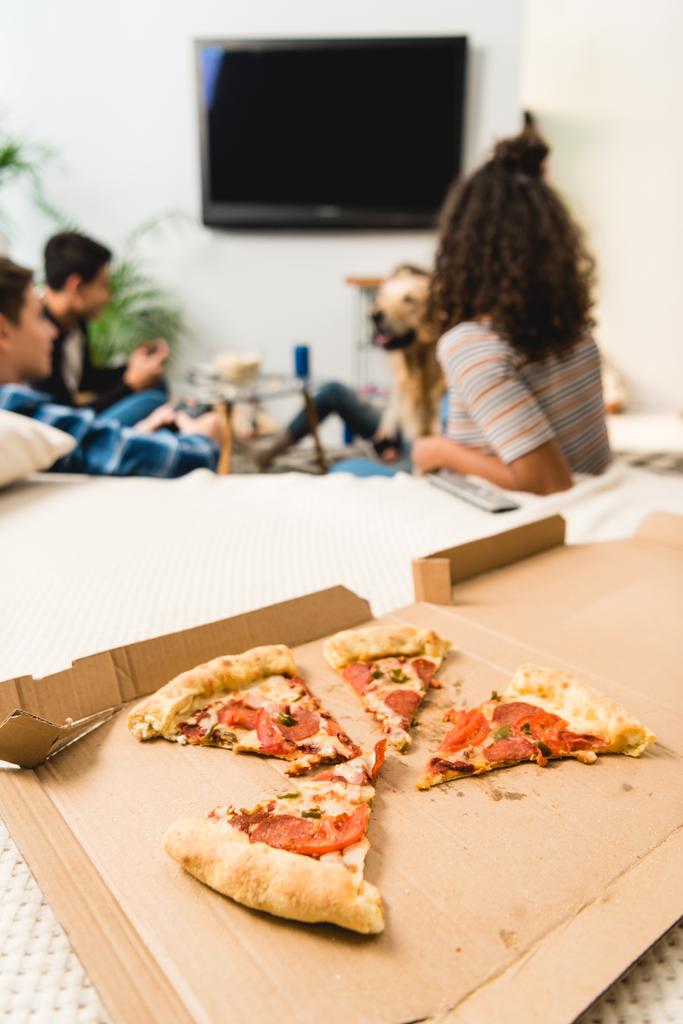 grupo de amigos assistindo tv com pizza em primeiro plano
  - Foto, Imagem