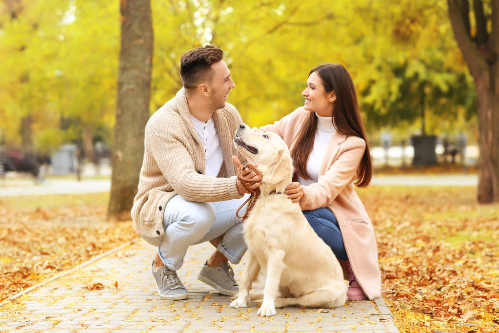 Casal com cão no parque
 - Foto, Imagem