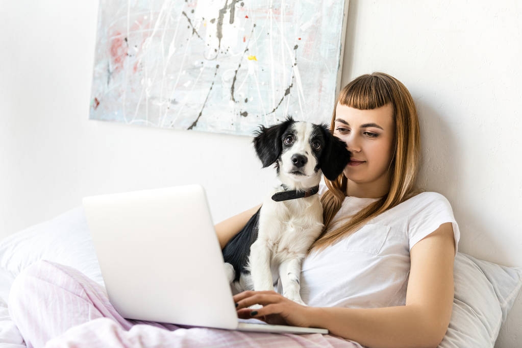 портрет молодой женщины, использующей ноутбук с щенком рядом с утра дома
 - Фото, изображение