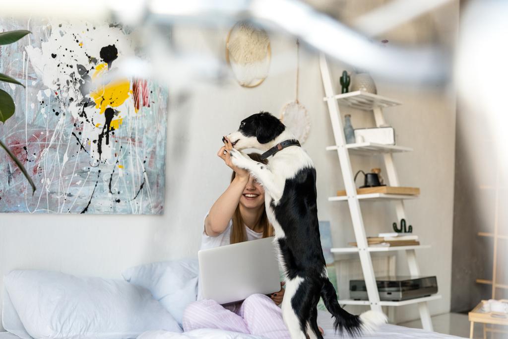 selective focus of woman in pajamas playing with puppy in morning at home - Photo, Image