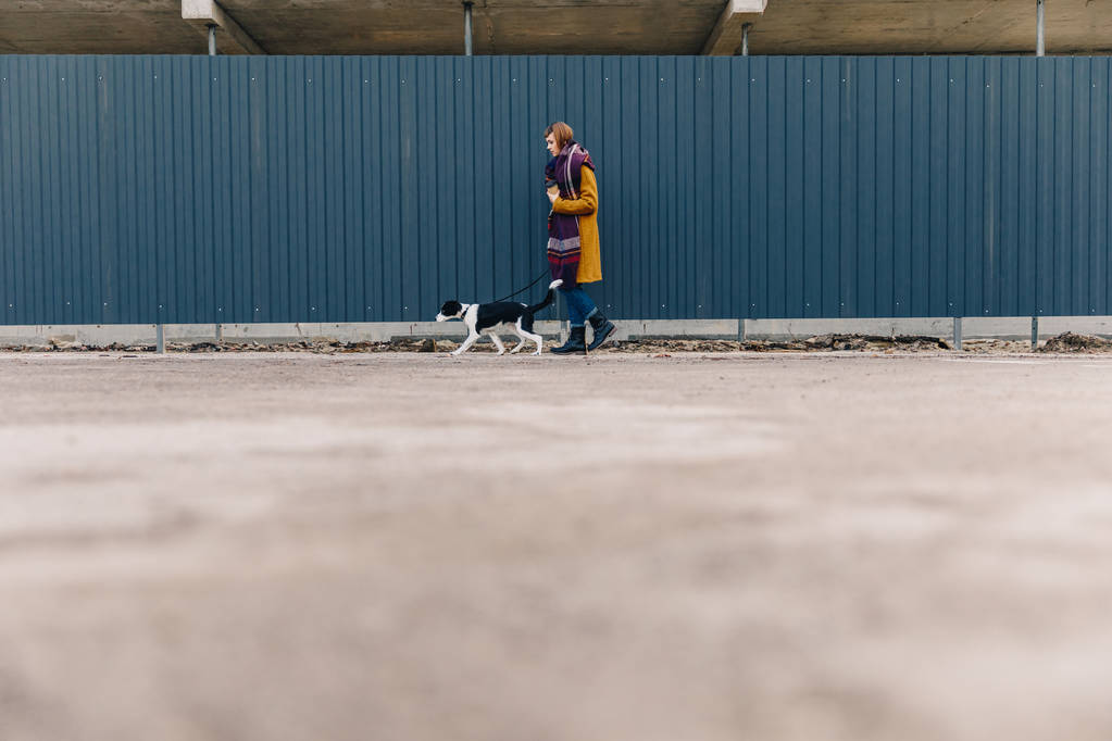 vista lateral de la mujer joven y elegante caminando por la calle junto con el cachorro
 - Foto, Imagen