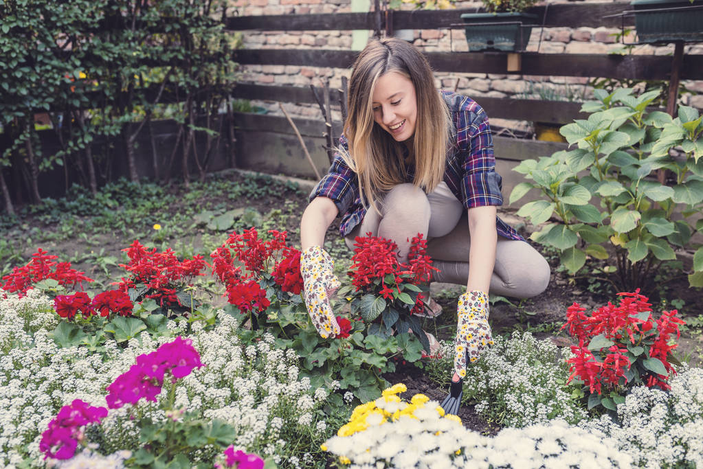 Onnellinen nuori nainen spudding maaperään silpoja työkalu. Nainen puutarhuri huolehtii värikkäitä kukkia
  - Valokuva, kuva
