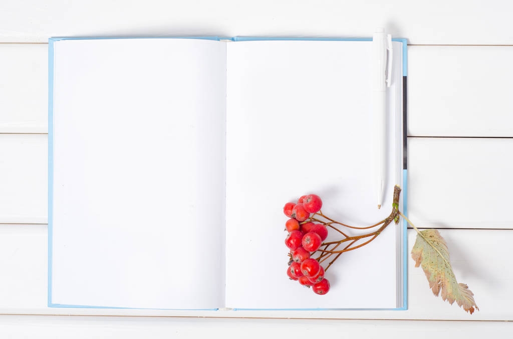 Красные ягоды rowan viburnum кофе Кубок блокнот перо
 - Фото, изображение