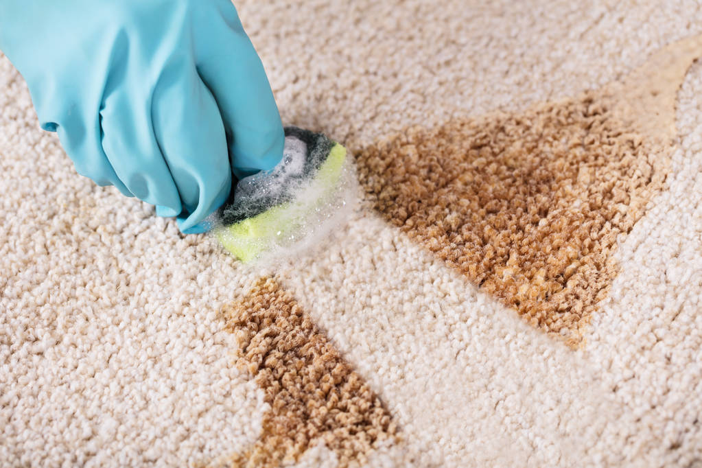 Persona macchia di pulizia del tappeto
 - Foto, immagini