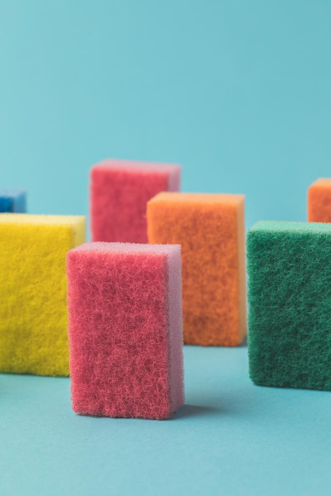 studio shot of colorful washing kitchen sponges, on blue - Photo, Image