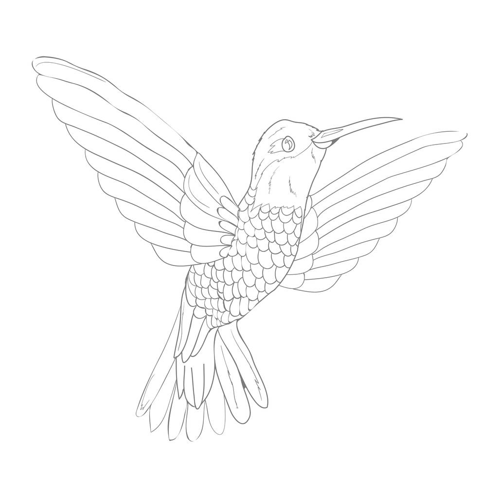 Ptak wektor szkic ikona na białym tle na tle. Ręcznie rysowane ptak  - Wektor, obraz
