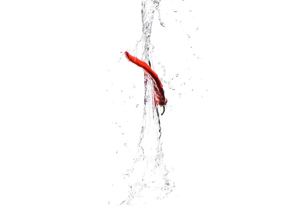 red hot chilli pepper in water splashes isolated on white - Photo, Image