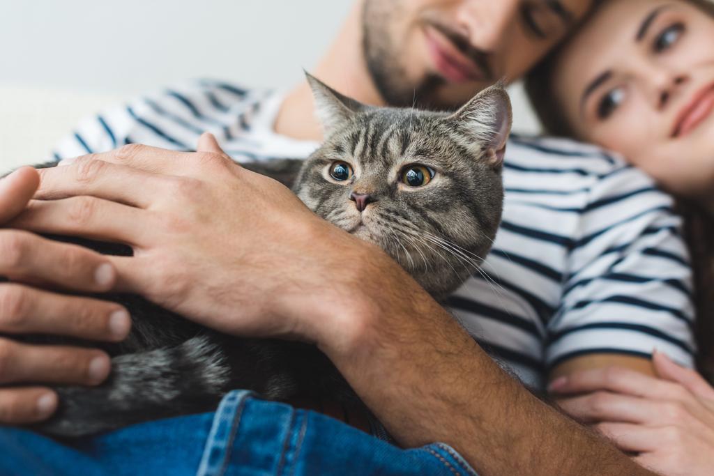 close-up shot of young couple holding cat in hands and embracing - Photo, Image