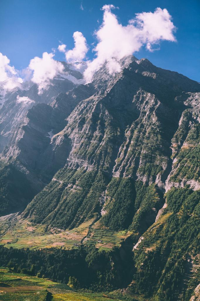 majestueuze rocky mountains en groenblijvende bomen in de Indiase Himalaya - Foto, afbeelding