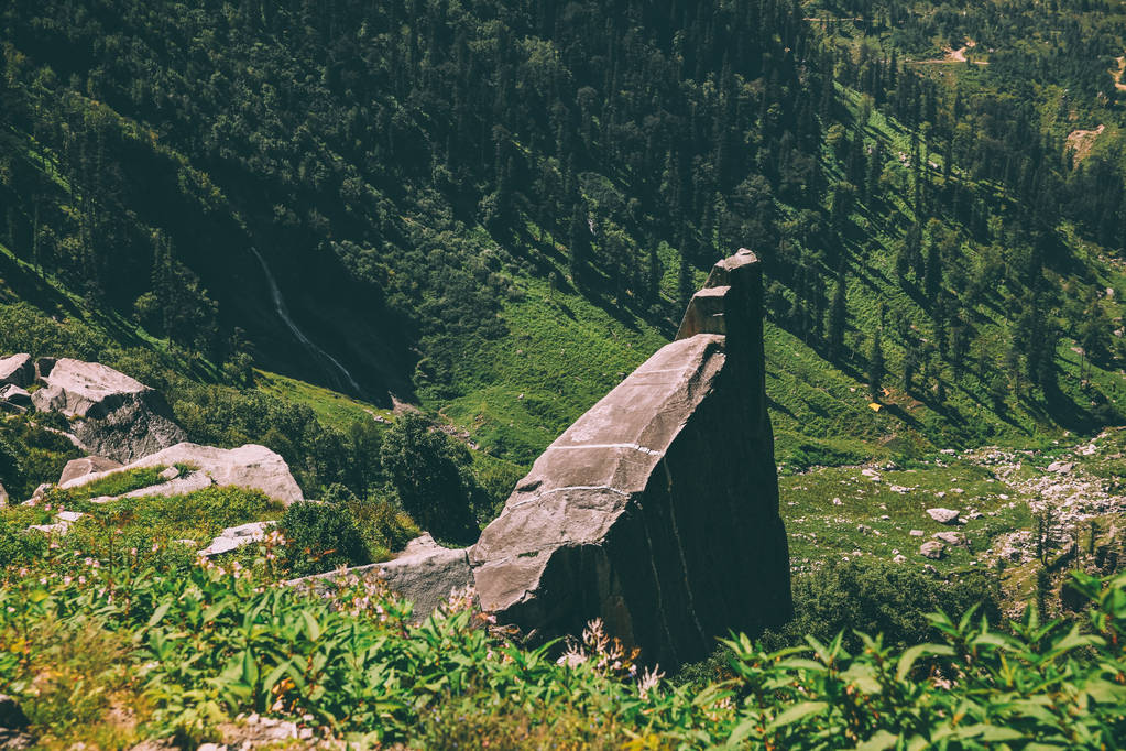 enorme stenen en groene planten in schilderachtige bergen, Indiase Himalaya, Rohtangpas - Foto, afbeelding