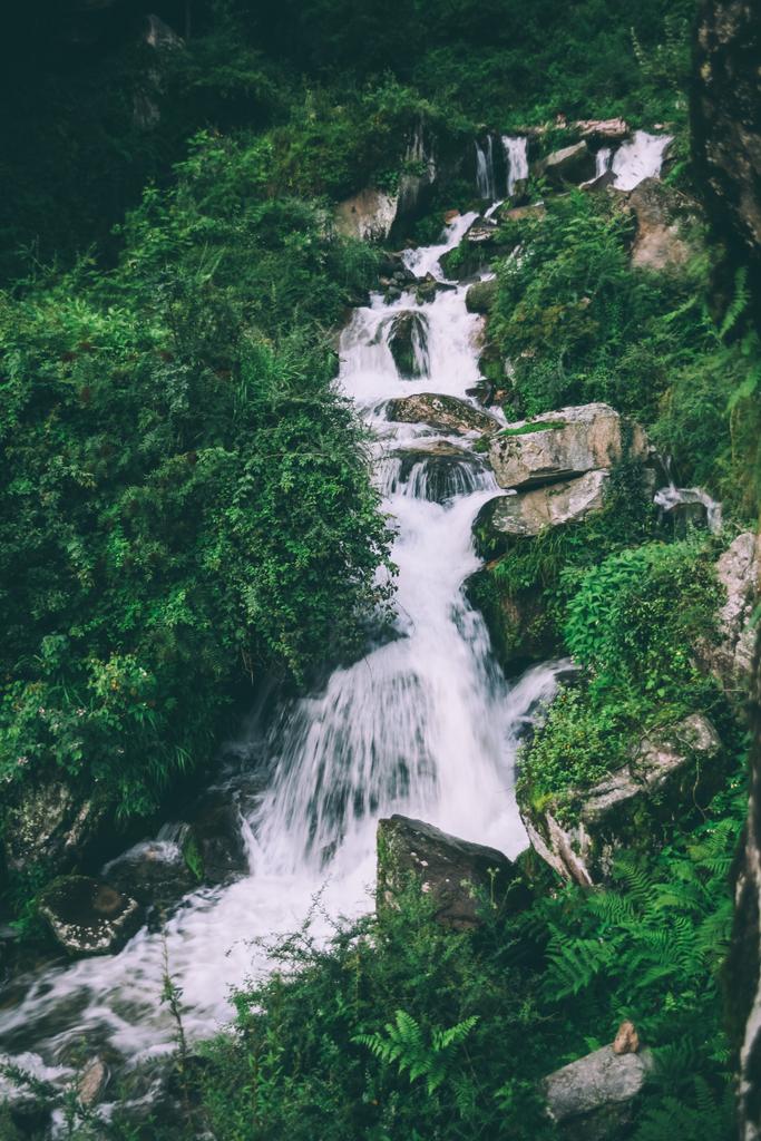 asombrosa cascada con rocas y plantas verdes en himalayas indios
 - Foto, Imagen