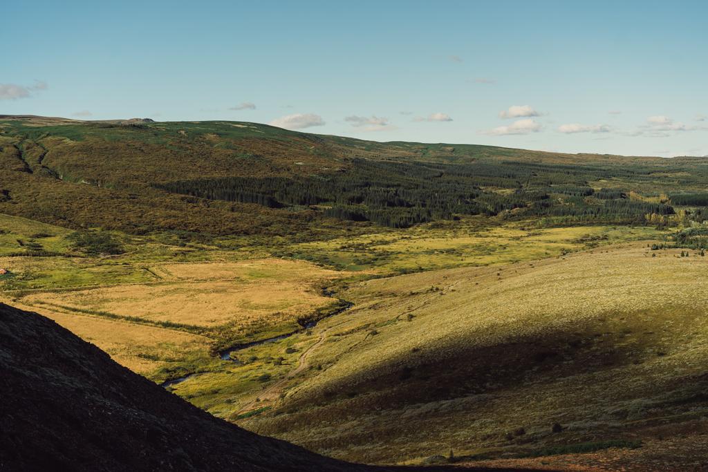 гарний краєвид з трав'янисті пагорби в Ісландії  - Фото, зображення