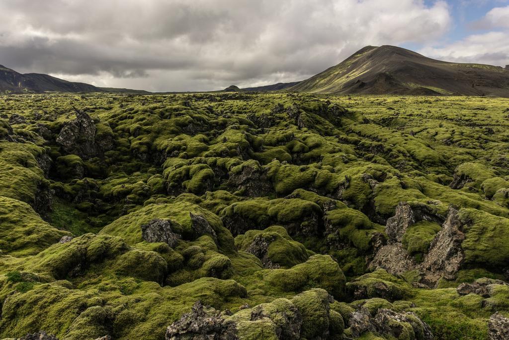 paysage majestueux avec montagnes pittoresques, mousse et ciel nuageux en Islande
   - Photo, image