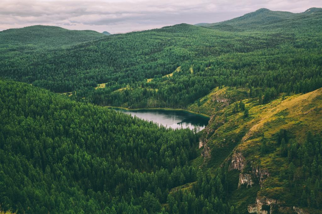 Величественные горы, покрытые деревьями и красивым горным озером в Алтае, Россия
 - Фото, изображение