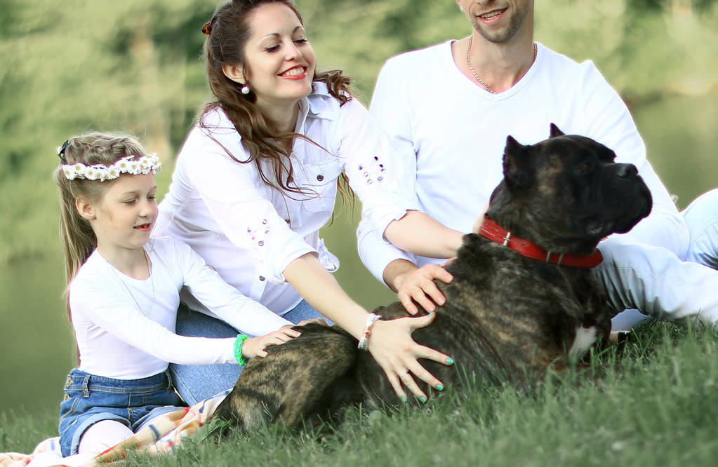 щаслива сім'я з собакою на пікніку в сонячний літній день. вагітна
 - Фото, зображення