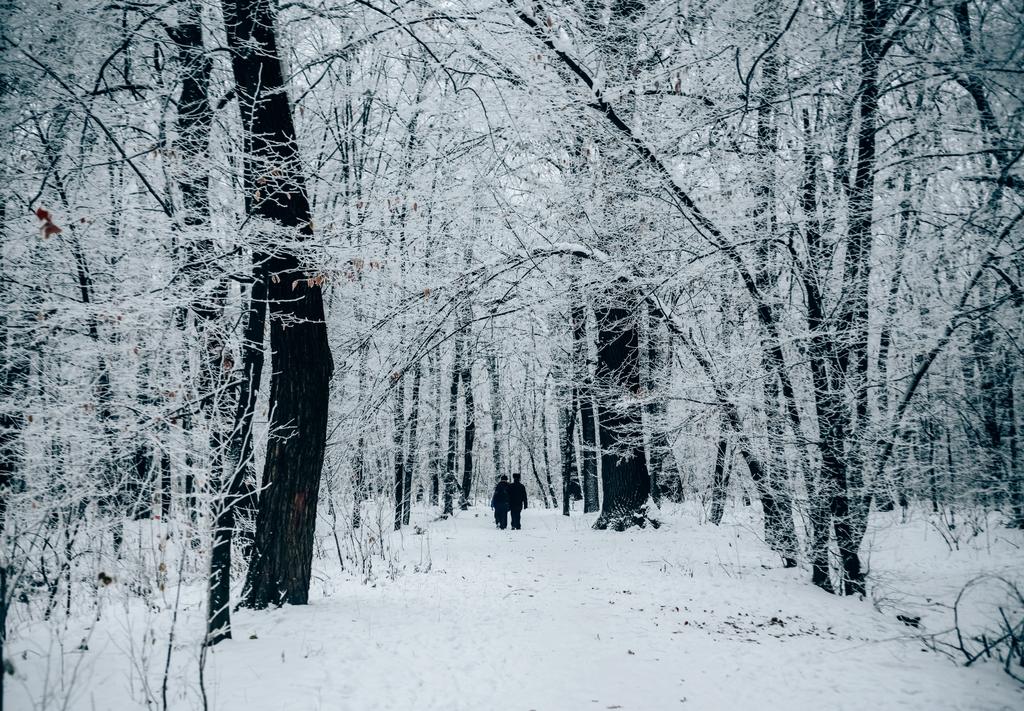 couple marchant à travers la forêt d'hiver
 - Photo, image