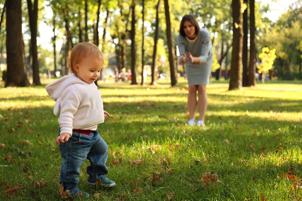Mutter mit entzückendem kleinen Mädchen beim gemeinsamen Spielen im Herbstpark - Foto, Bild