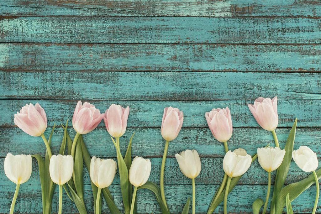 нежные цветущие тюльпаны на зеленом деревянном фоне с копировальным пространством
 - Фото, изображение