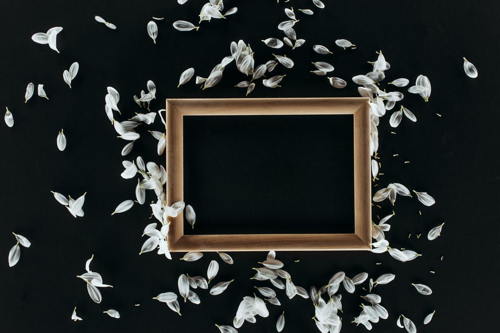 vista dall'alto di telaio in legno con petali isolati su nero
 - Foto, immagini