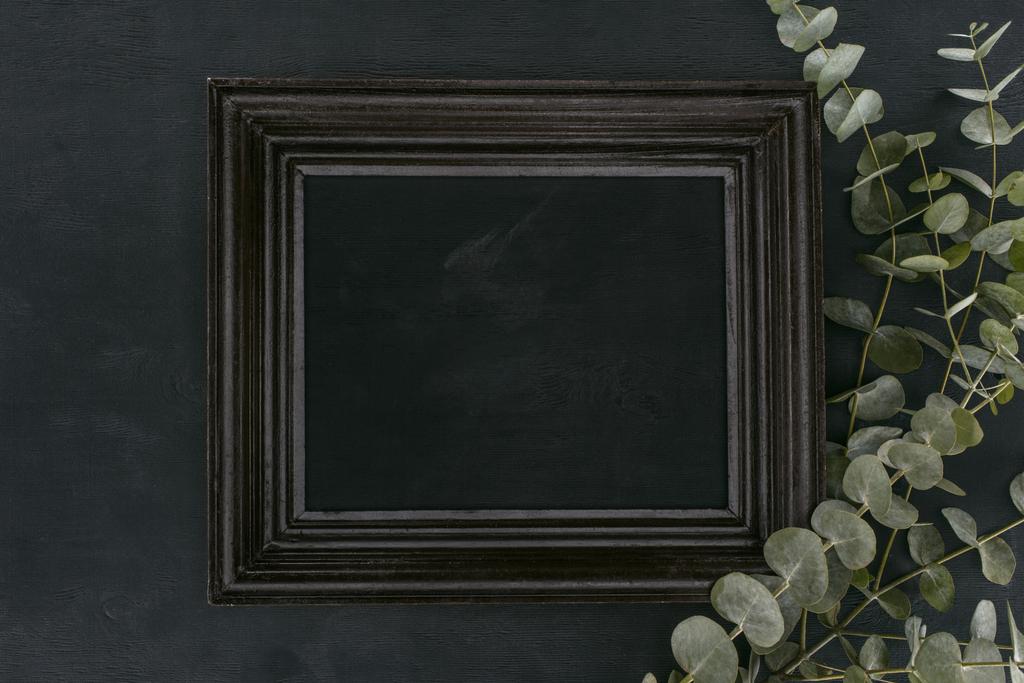 κάτοψη του vintage ξύλινη κορνίζα με ευκάλυπτο κλαδιά πάνω από το μαύρο φόντο - Φωτογραφία, εικόνα