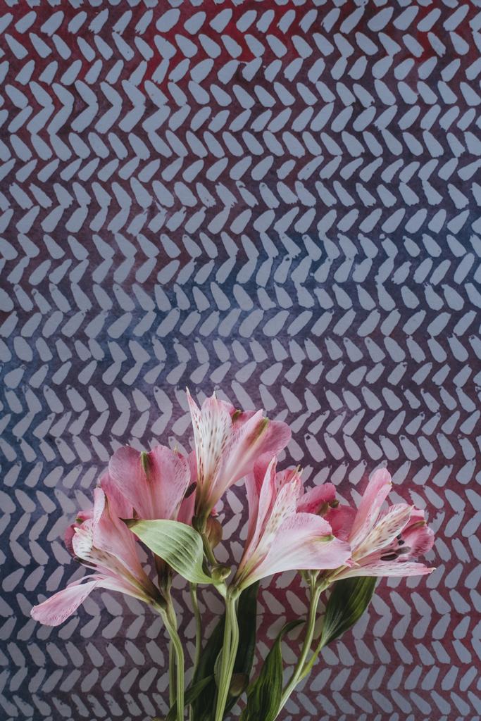 fleurs alstroemeria floraison sur fond tacheté
 - Photo, image
