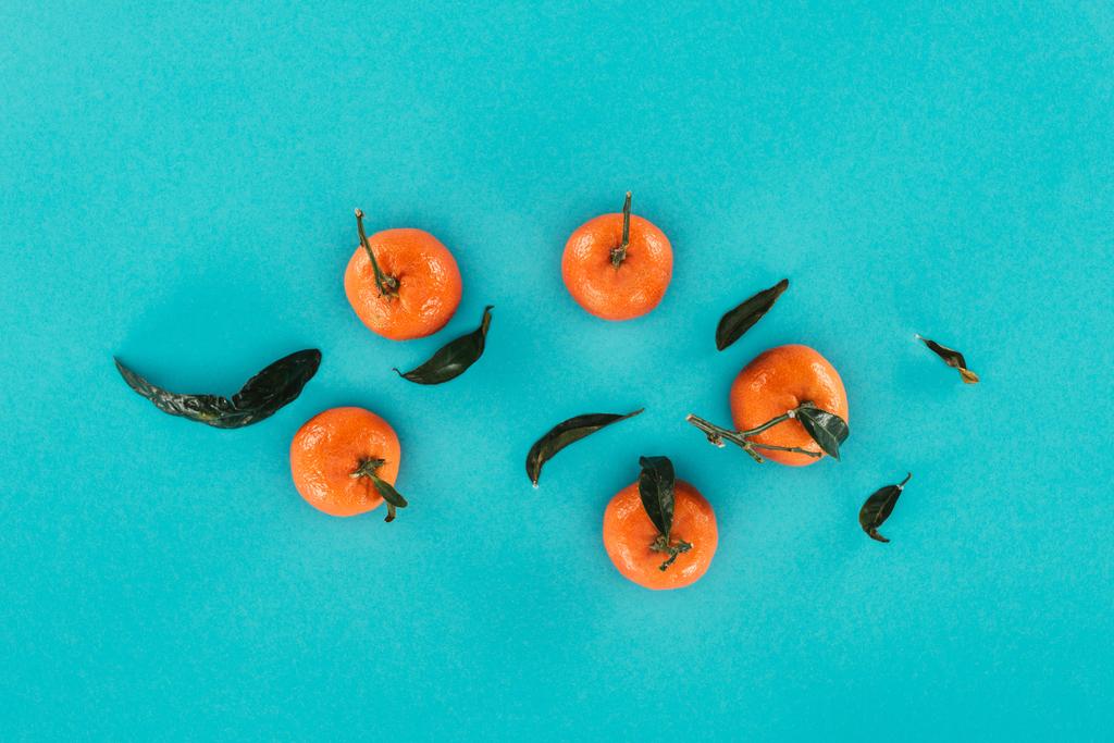 flat lay with ripe mandarins and leaves isolated on blue - Photo, Image