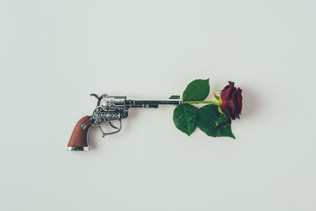 vue du dessus de la rose rouge dans un canon isolé sur blanc, concept de Saint-Valentin
 - Photo, image