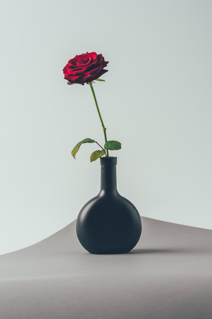 κόκκινο τριαντάφυλλο σε μαύρο βάζο σε γκρι επιφάνεια, έννοια ημέρα του Αγίου Βαλεντίνου - Φωτογραφία, εικόνα