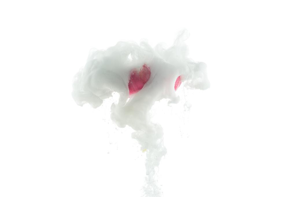zblízka pohled růžový květ a bílá barva stříkající izolované na bílém - Fotografie, Obrázek