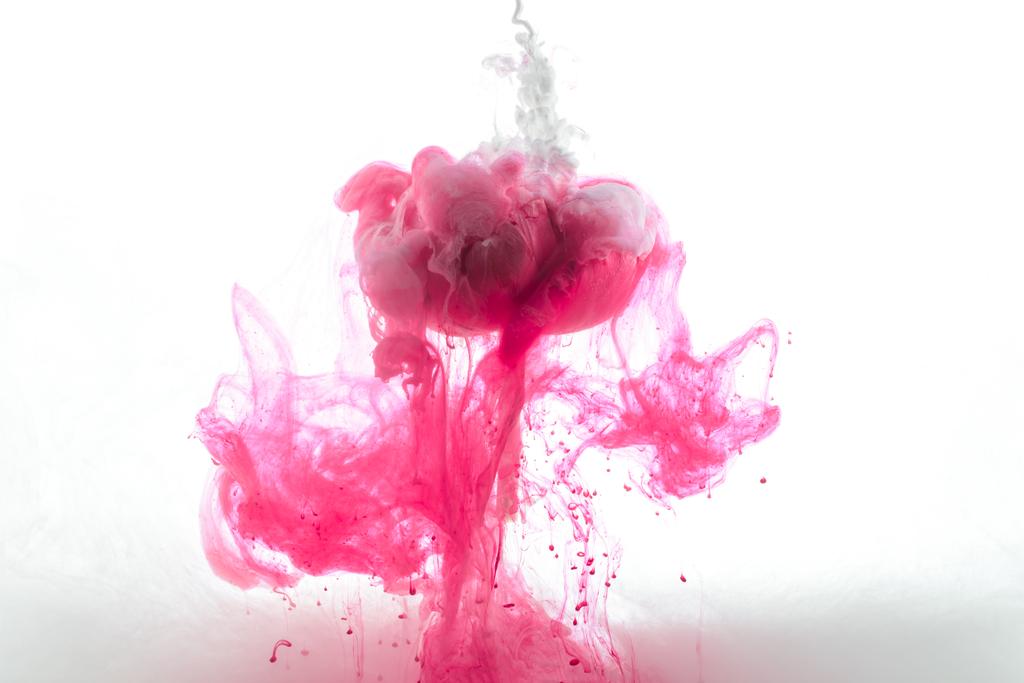 крупним планом вид рожевої квітки і чорнила бризки ізольовані на білому
 - Фото, зображення