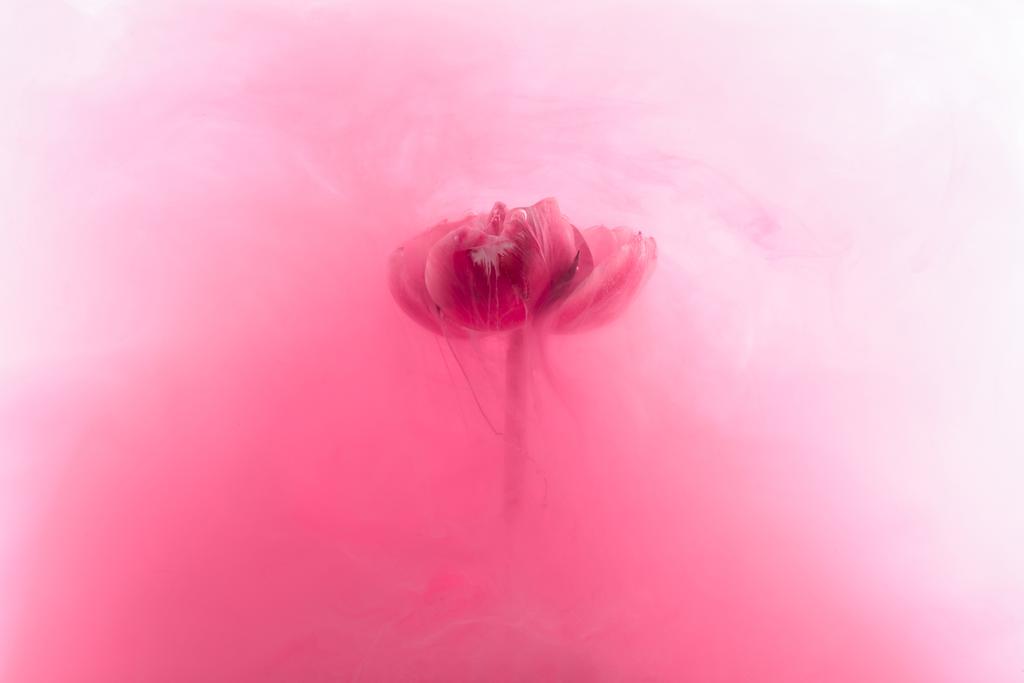 Nahaufnahme von rosa Blume und Tintenspritzer - Foto, Bild