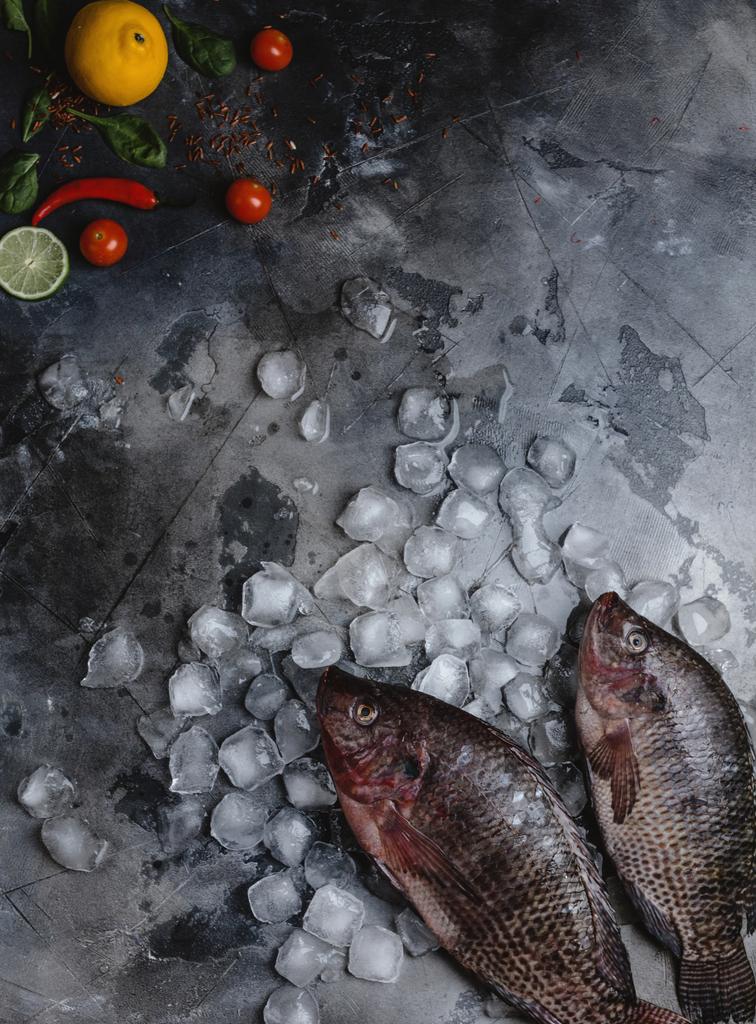 vista superior de pescado fresco crudo de mar sobre cubitos de hielo con lima, limón, especias y tomates cherry sobre gris
  - Foto, imagen