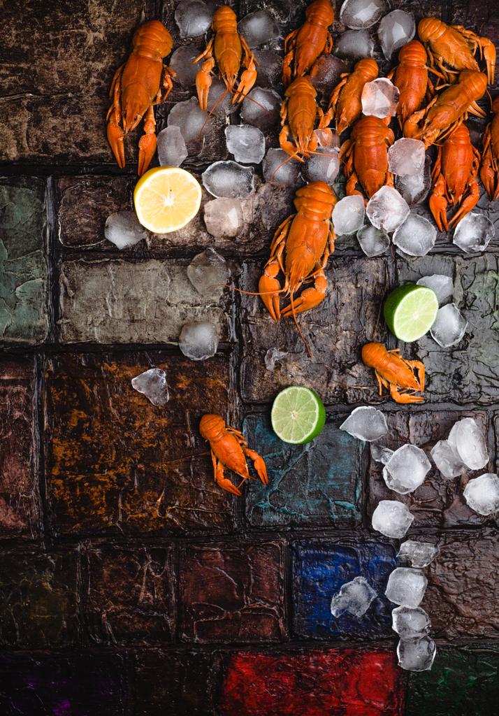 vue de dessus de délicieux homards avec glaçons et agrumes sur la surface du mur de briques
     - Photo, image