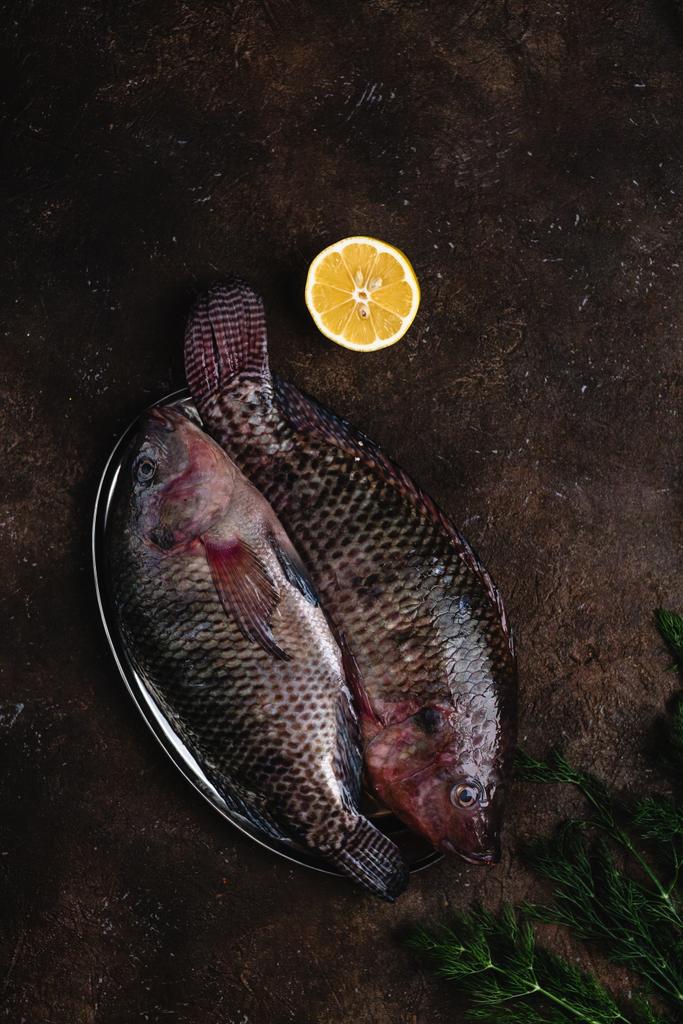 вид зверху сира свіжа риба на старовинній тарілці з половиною лимона і фенхелю на темній стільниці
  - Фото, зображення
