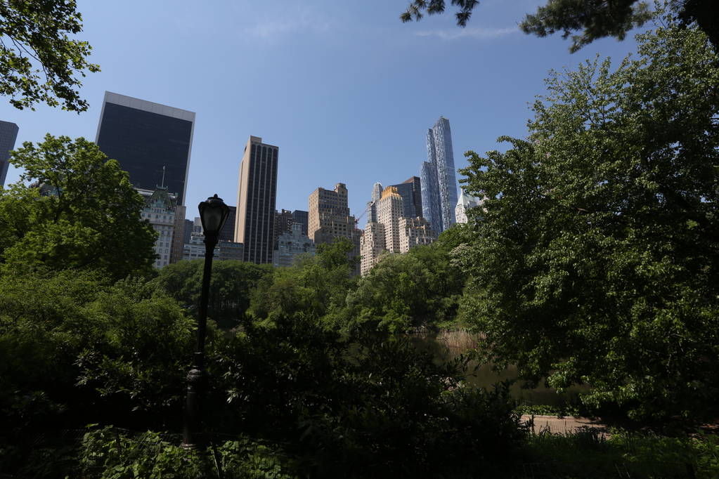 Blick auf New York City aus dem grünen Wald. Amerika, New York City - 14. Mai 2017 - Foto, Bild