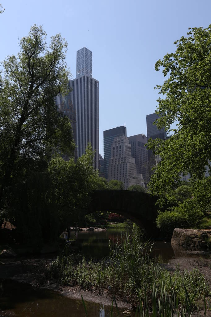 高い建物や木。アメリカ、ニューヨーク市 - 2017 年 5 月 14 日 - 写真・画像