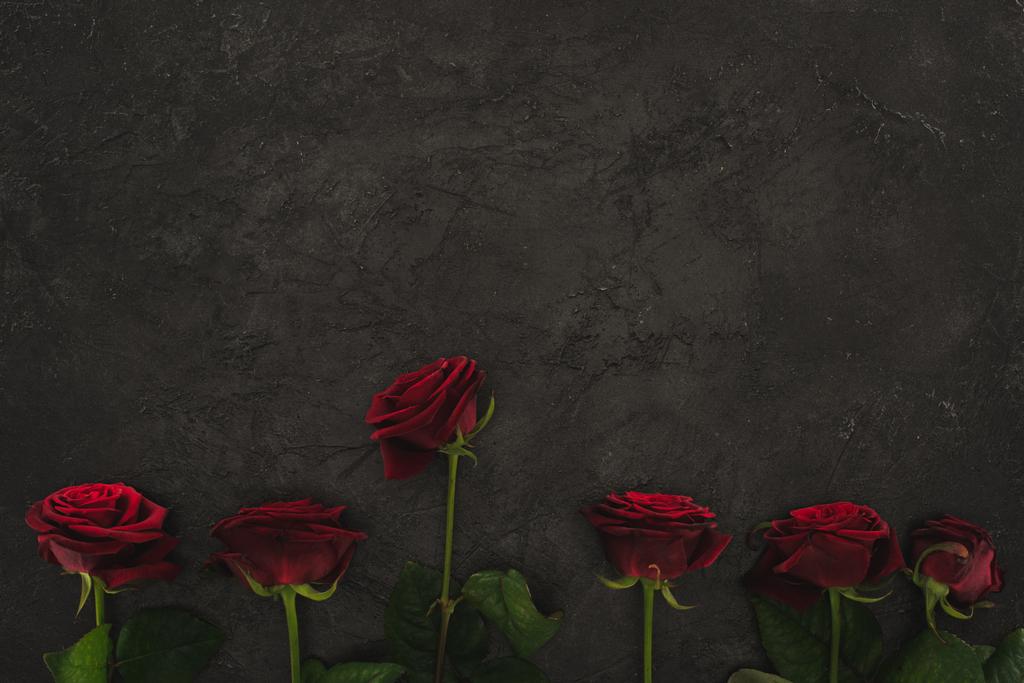 vista superior de rosas rojas dispuestas en la superficie oscura
 - Foto, imagen