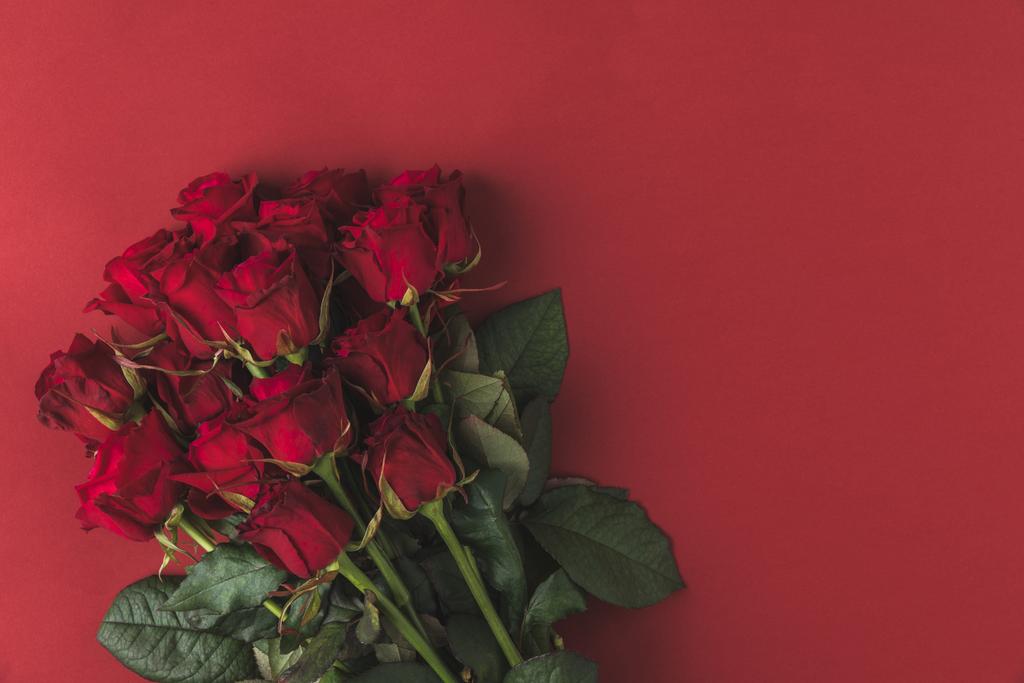 вид зверху на букет червоних троянд з зеленим листям ізольовані на червоному
 - Фото, зображення