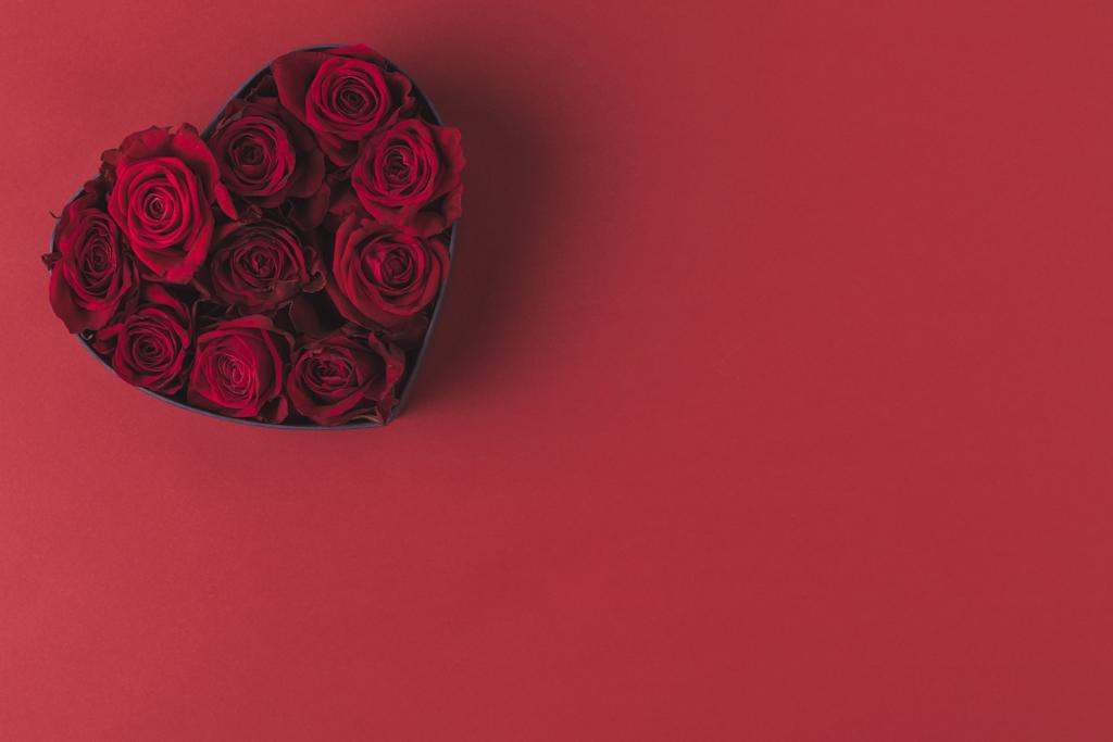 von oben Ansicht der Rosen in herzförmigen Geschenkbox isoliert auf rot, st Valentinstag Urlaubskonzept - Foto, Bild