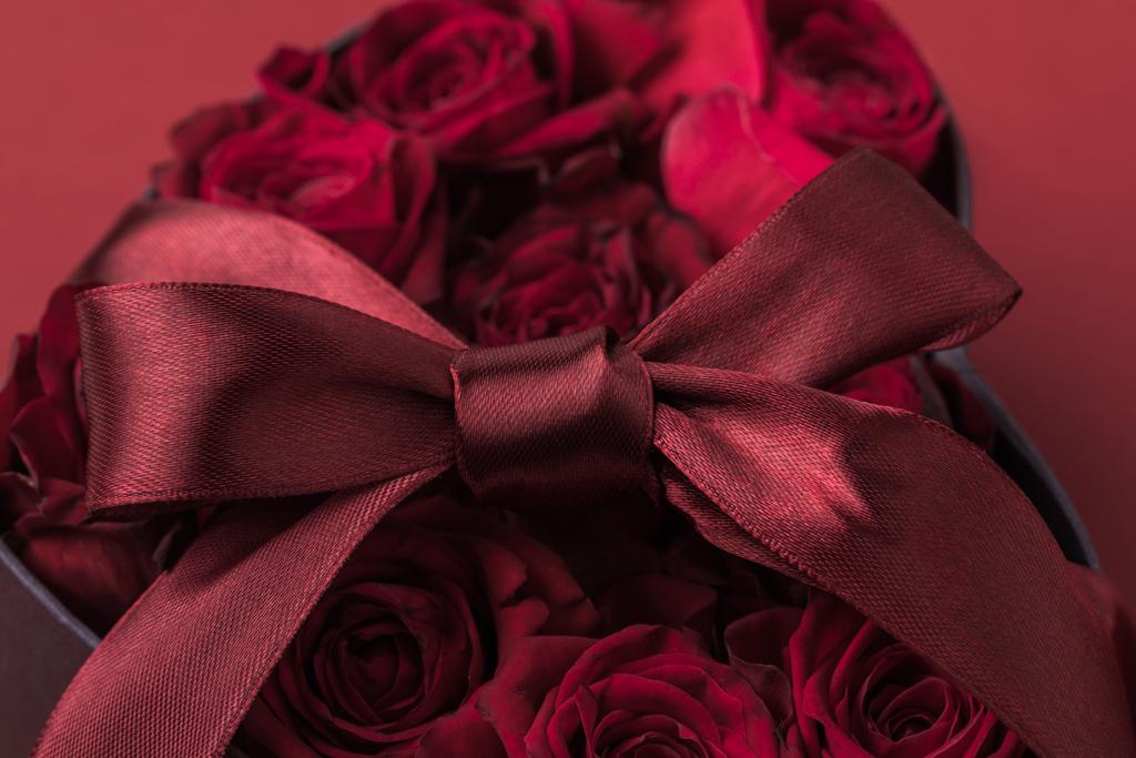 Nahaufnahme von Rosen in herzförmigem Geschenkkarton mit Band isoliert auf rot, st Valentinstag Urlaubskonzept - Foto, Bild