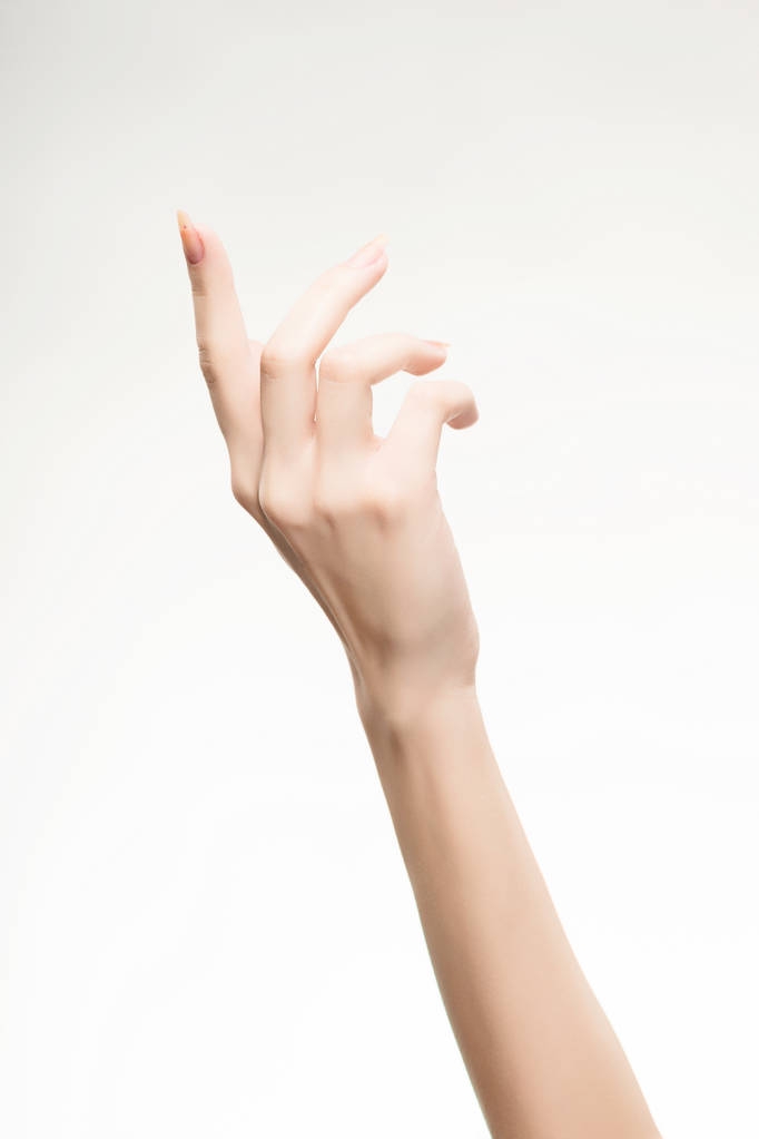 hermosa mano de mujer con manicura rosa claro en las uñas
 - Foto, imagen