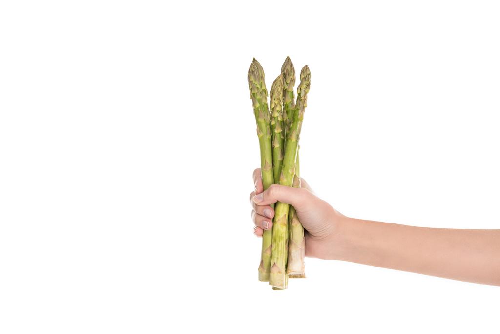 cropped shot of woman holding raw asparagus in hand isolated on white - Photo, Image