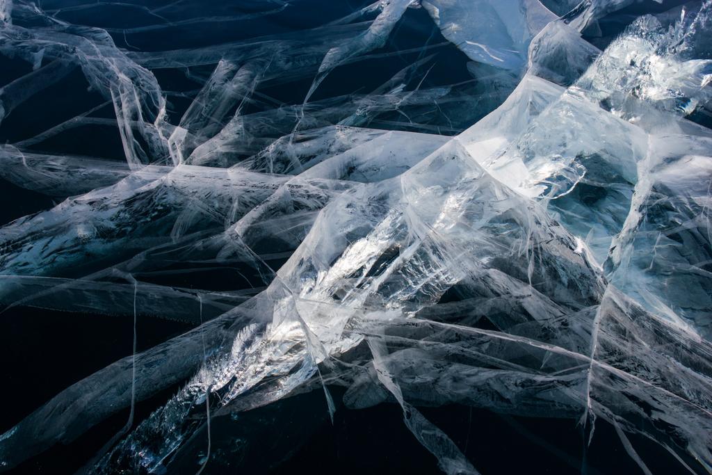 Detailní záběr z ledové vrstvy nad větvičky stromů, jezero Bajkal, Rusko - Fotografie, Obrázek